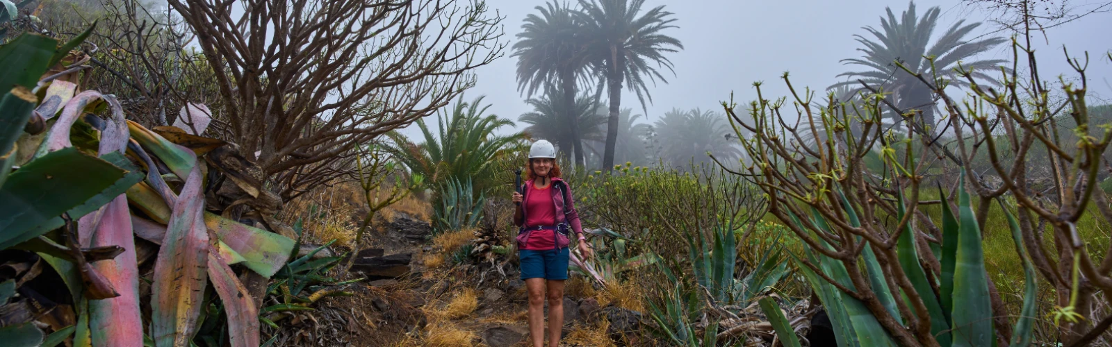 Ultimate Hiking, Camping & Adventure Guide in Twentynine Palms