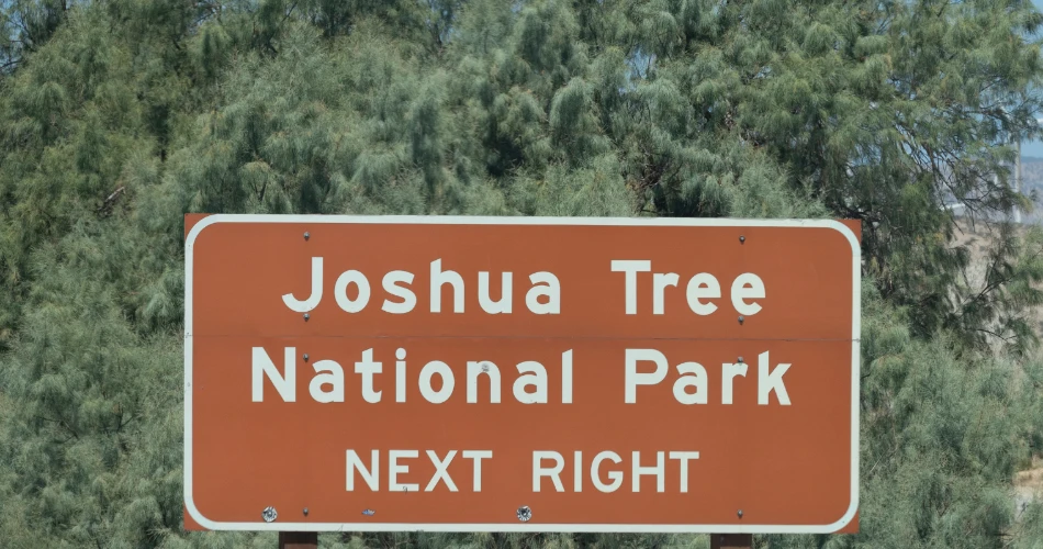 Top Places to Explore in Twentynine Palms for First-Time Visitors